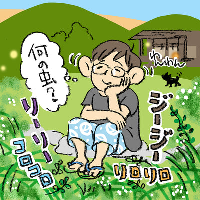 北極しろくま堂